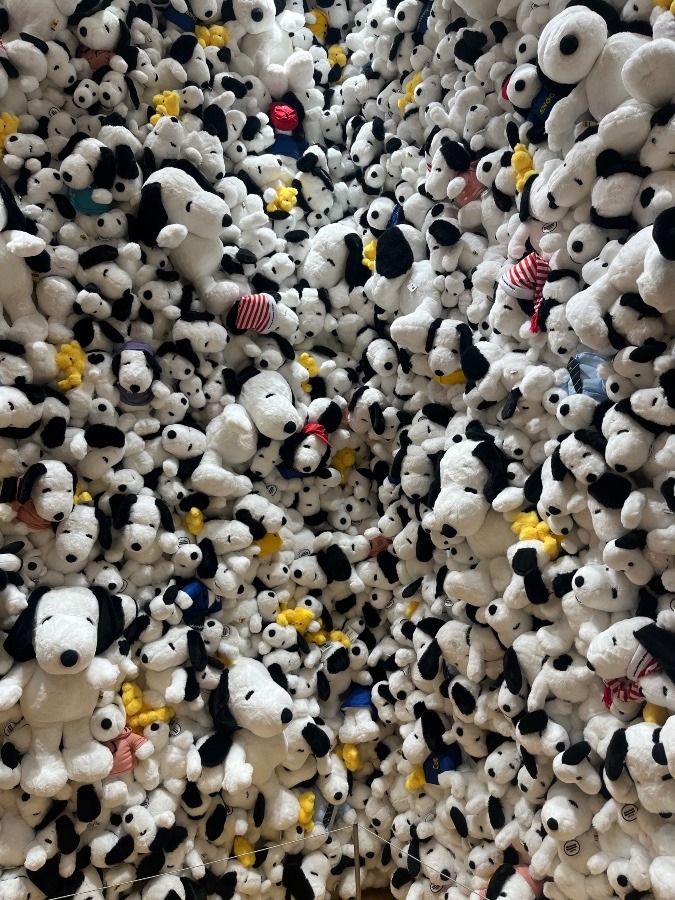 スヌーピー盛り