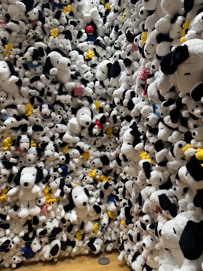 集合体恐怖症の方…ごめんなさい