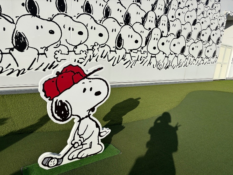 癒しの空間🐶︎︎☁