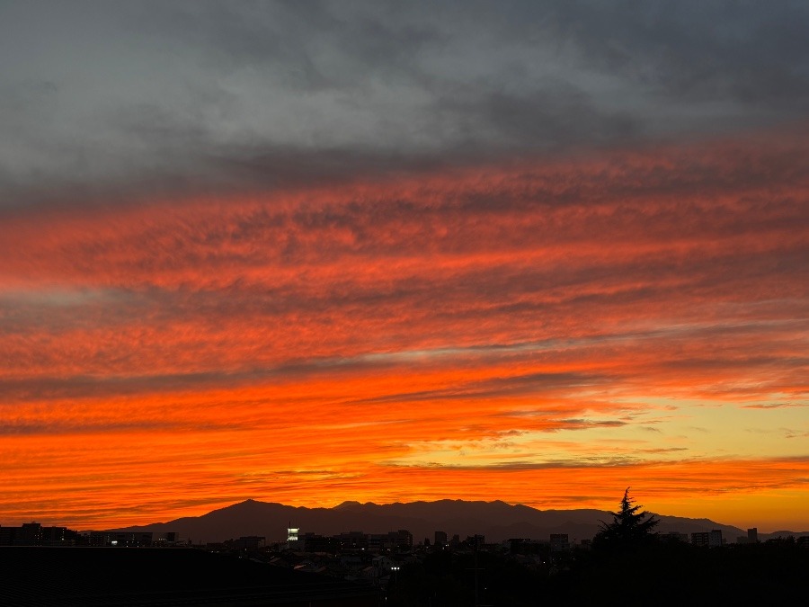 焚き火にあたりながら