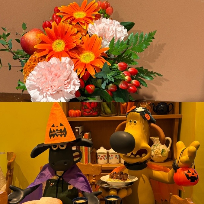 素敵な空間🎃